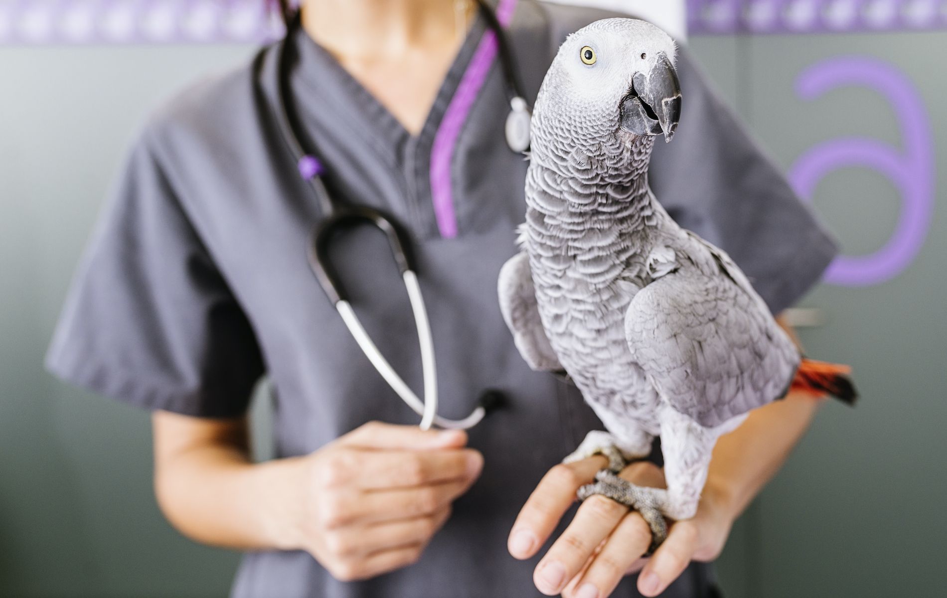 slider-produits-veterinaires-pharmacie-du-centre-sauze-vaussais